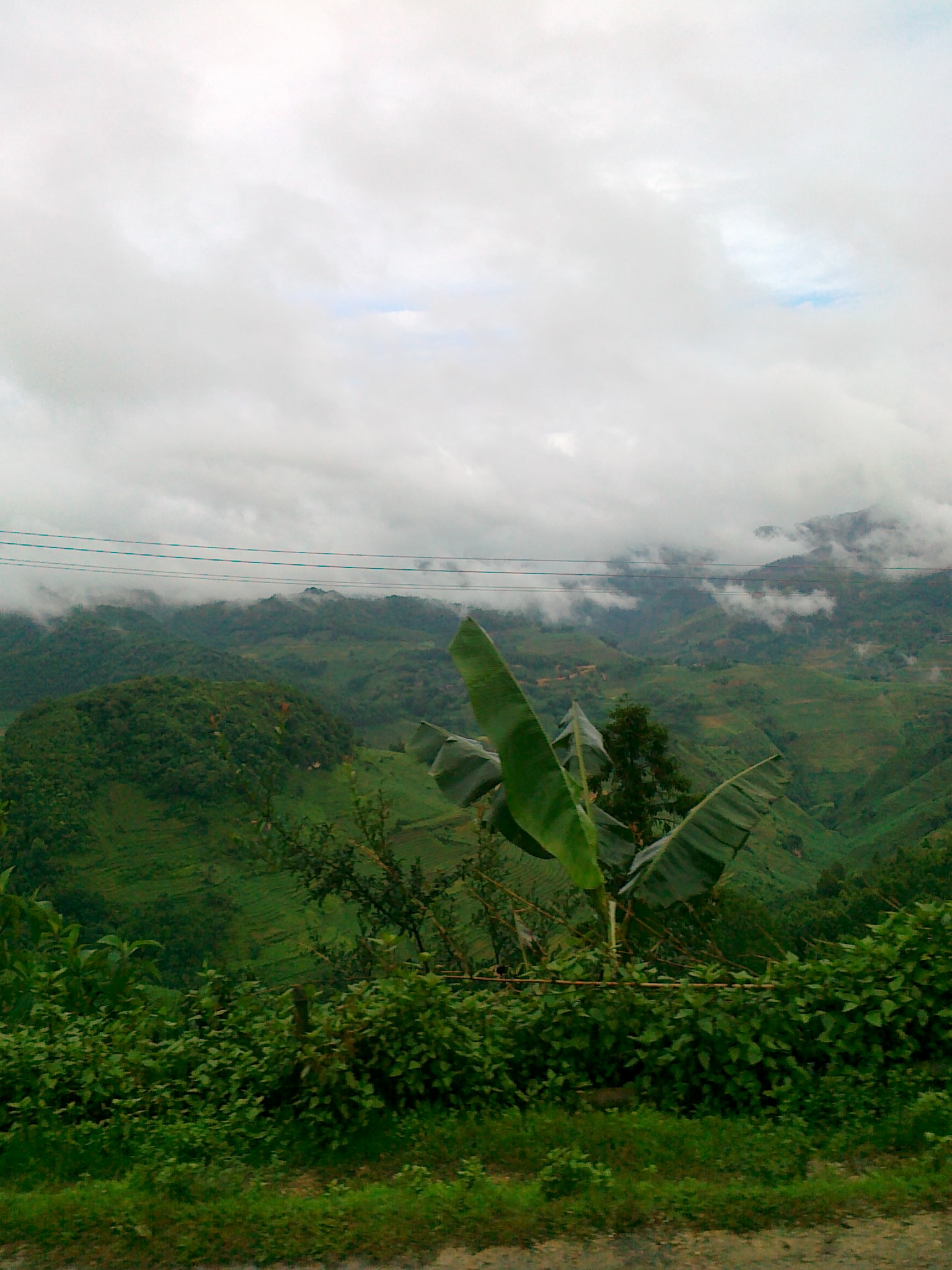 20110703006.jpg
