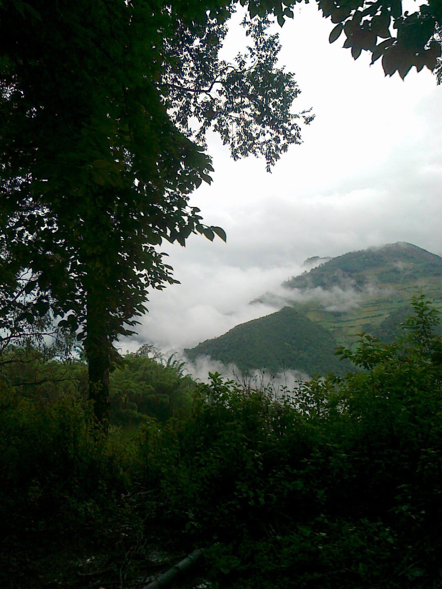 20110703002.jpg