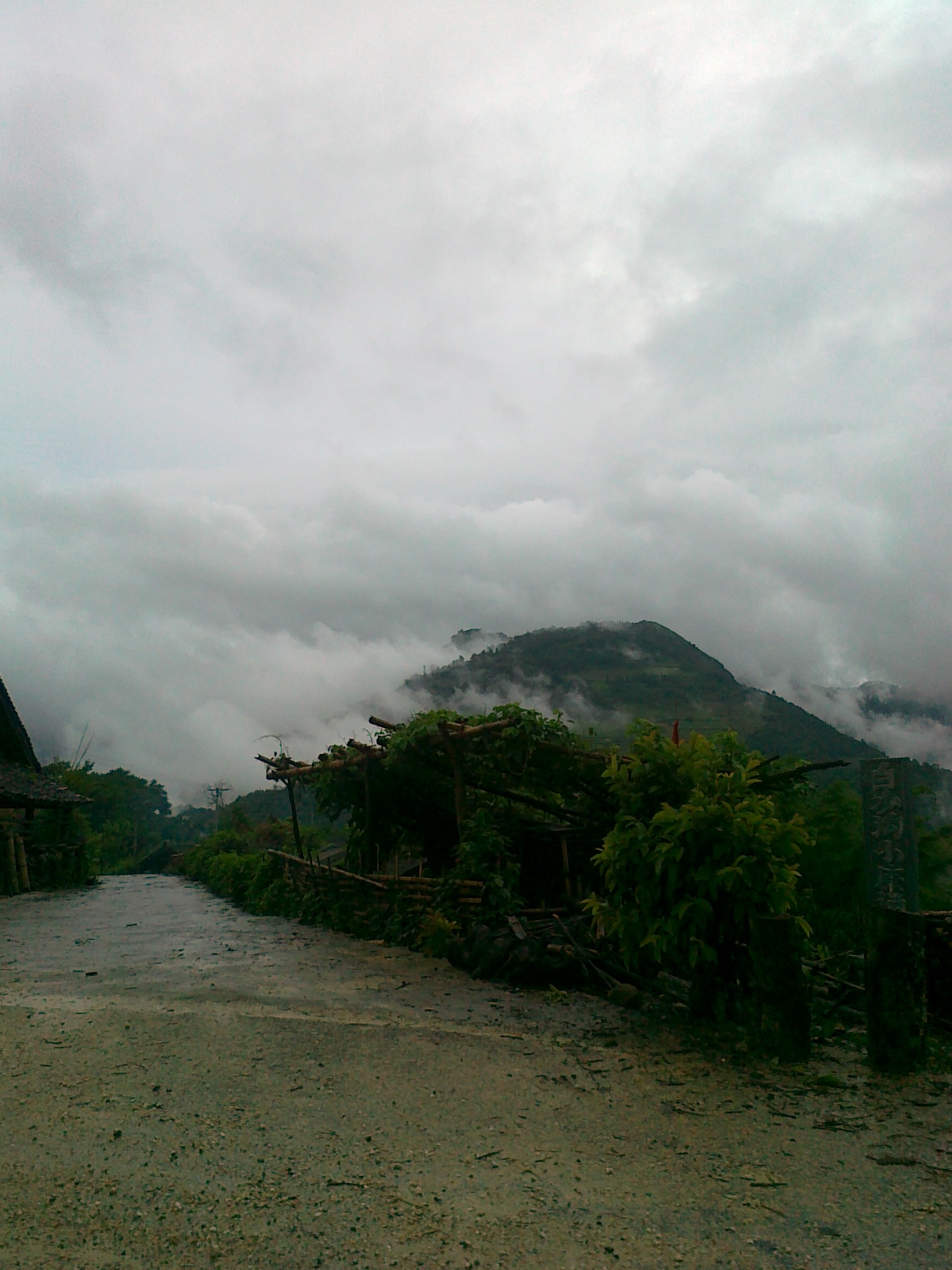 20110703003.jpg
