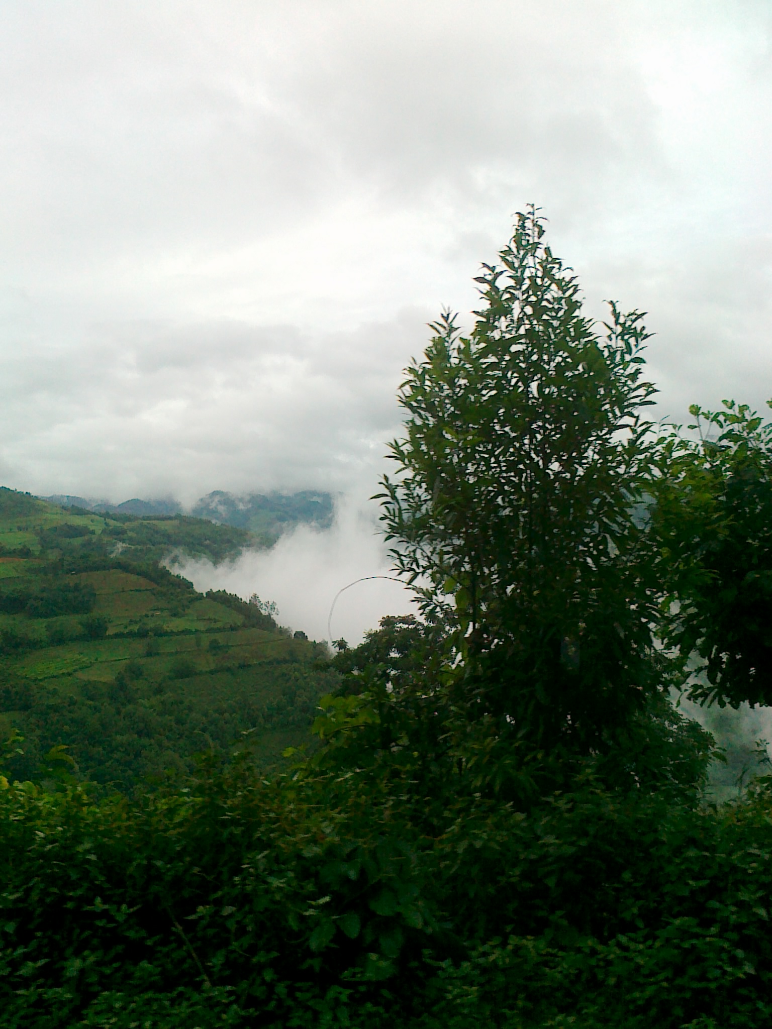 20110703004.jpg