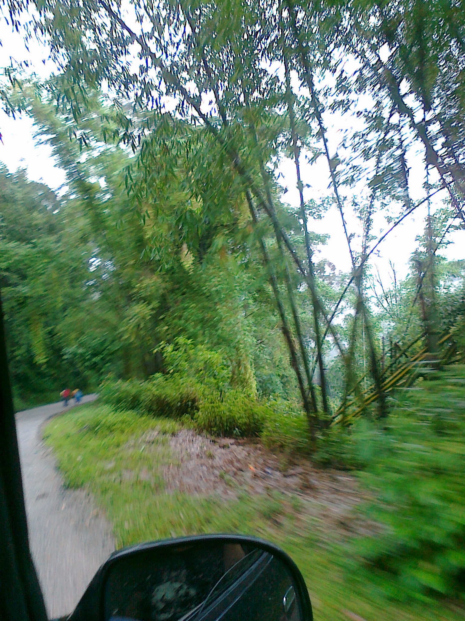 20110703005.jpg