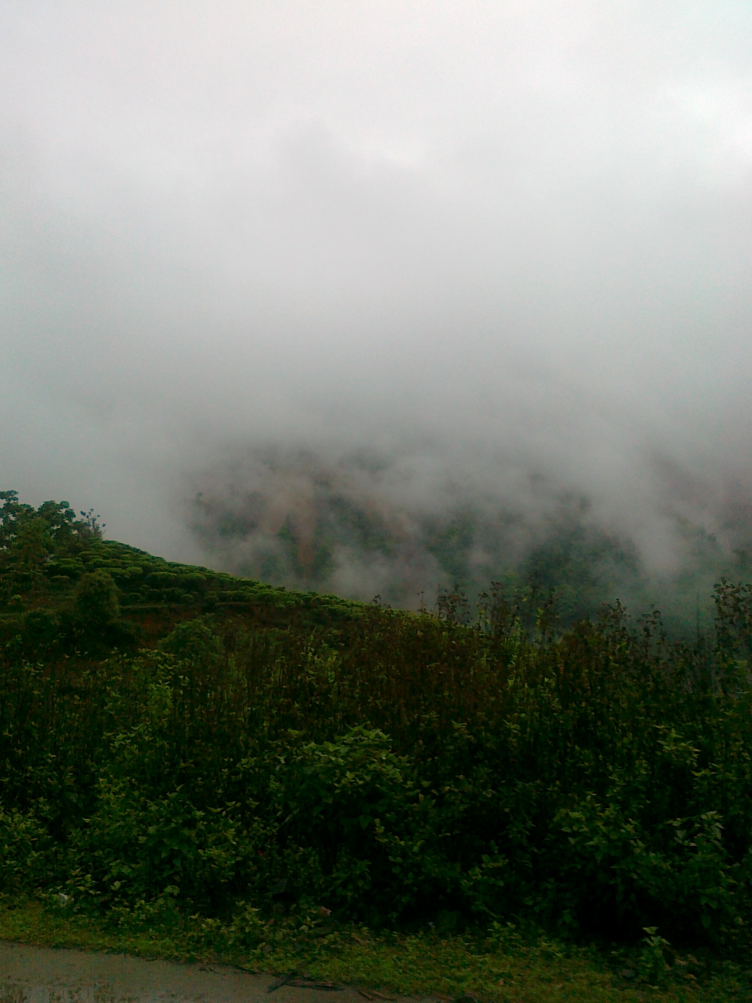 20110428051.jpg
