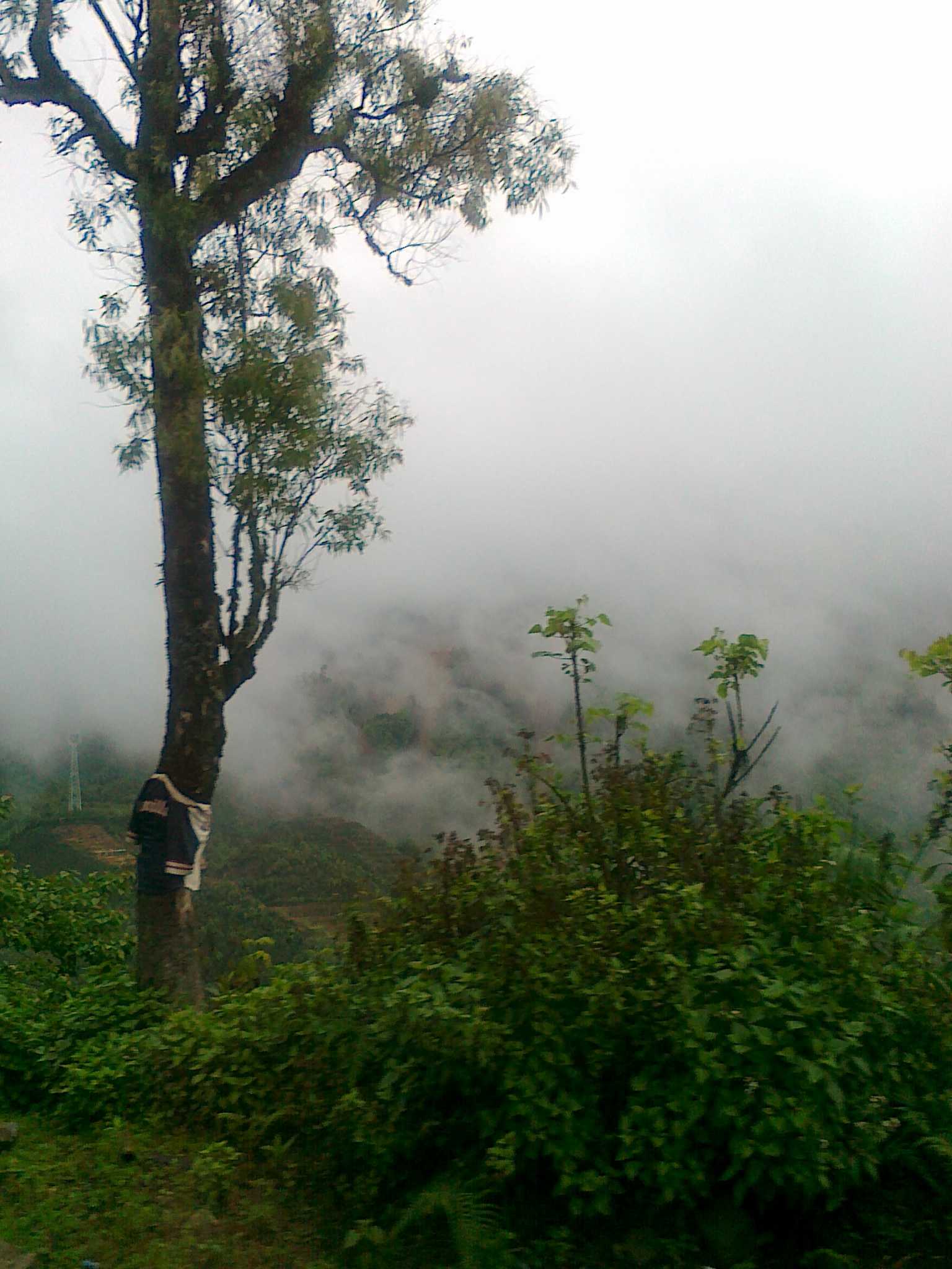 20110428050.jpg