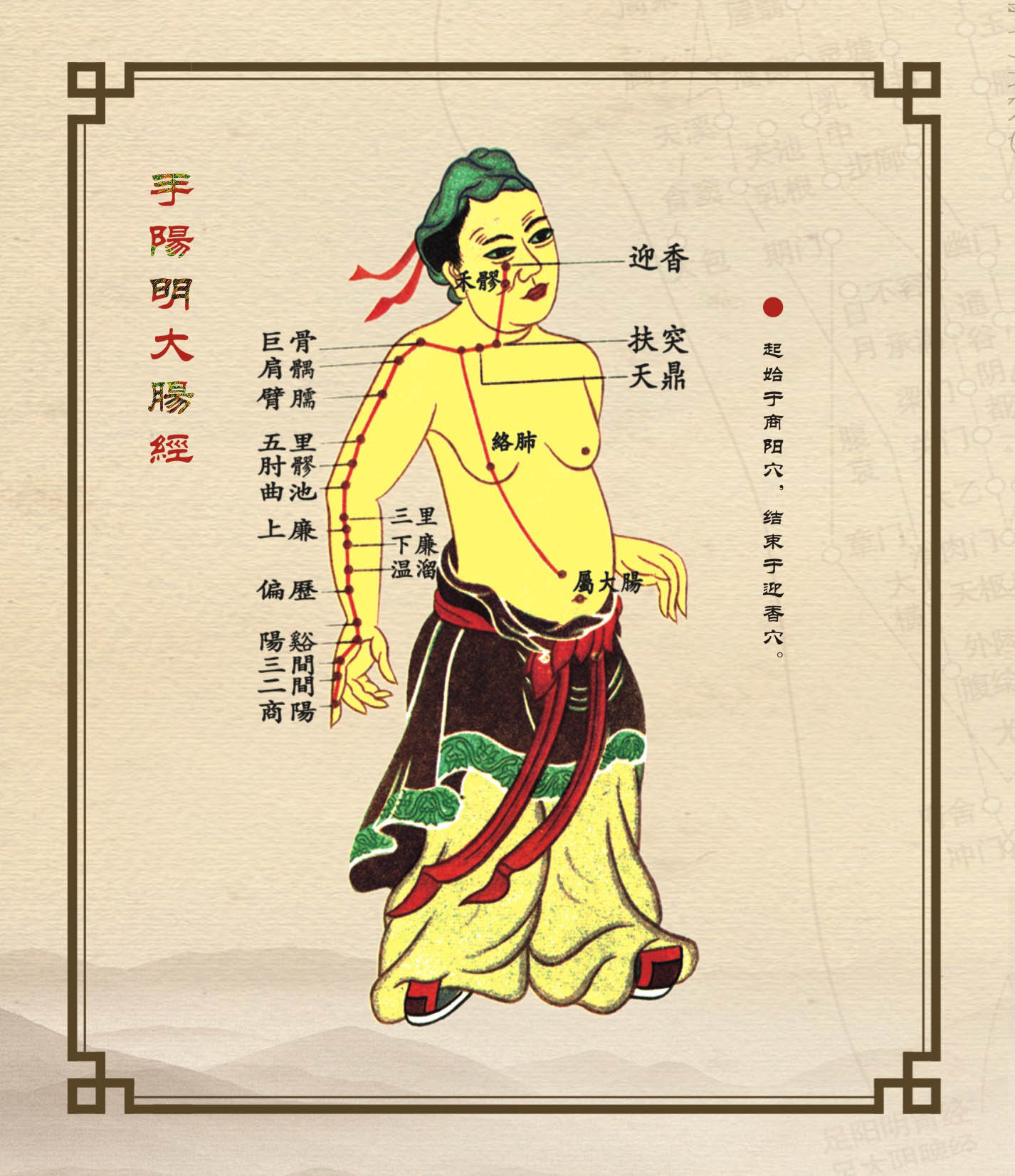 006手阳明大肠经（商阳）.jpg
