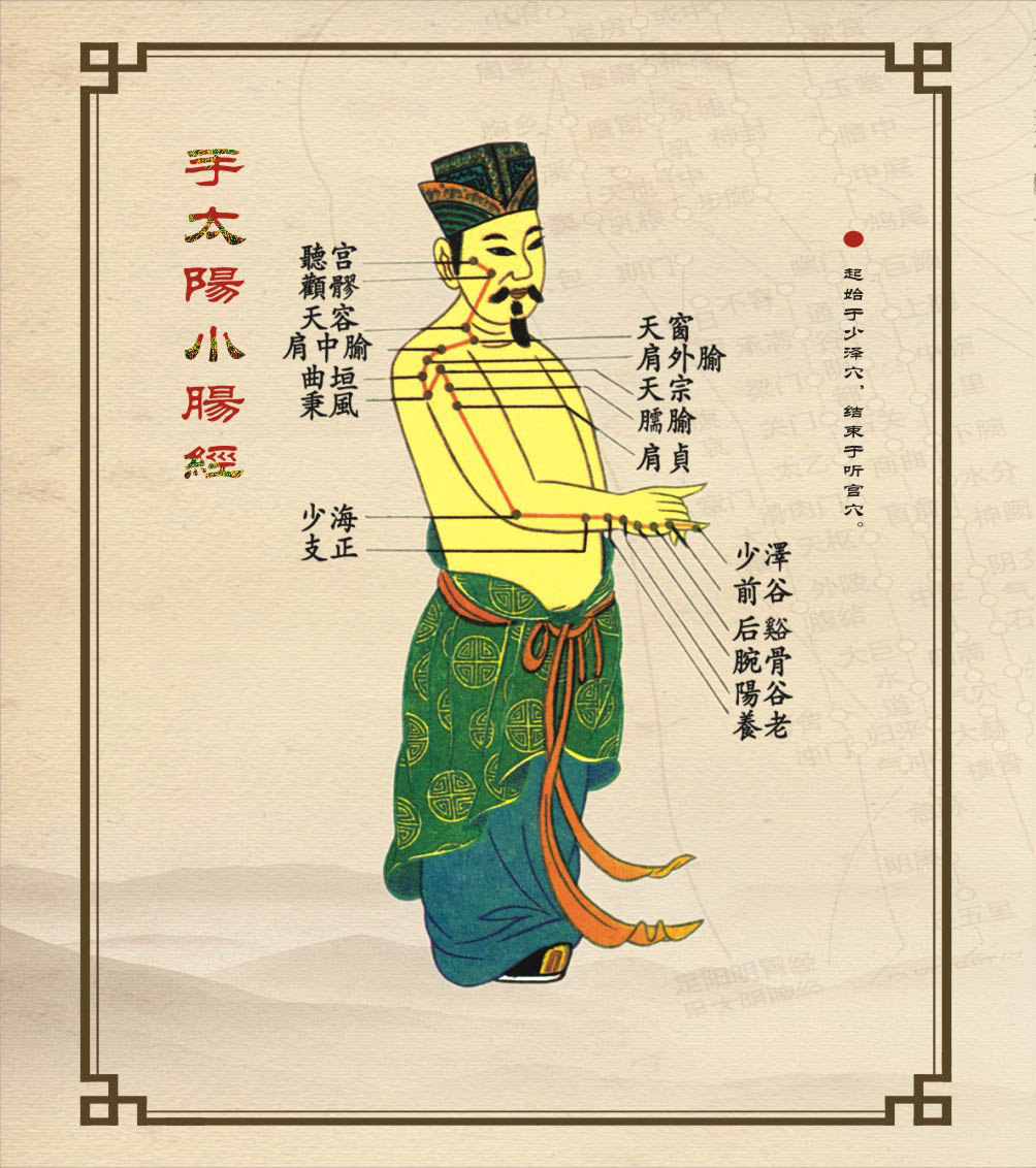 018手太阳小肠经（少泽）.jpg