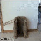2216063_335ea7ccb2fd7bf3c10b489a77ec35ff_1462850850.gif