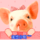 未命名.gif