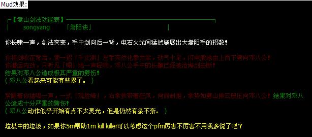 嵩山剑法-pfm songyang
