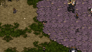 星期争霸.gif