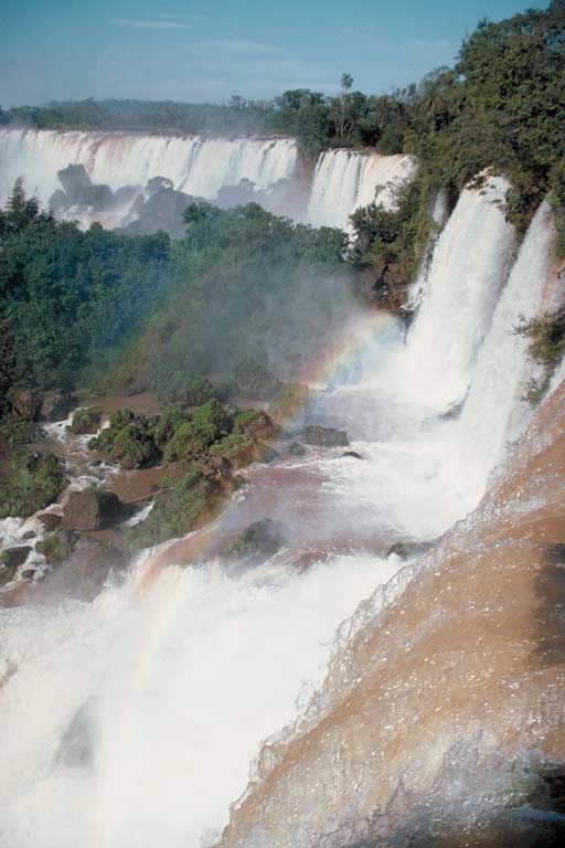 jN282nIP_03705555.jpg